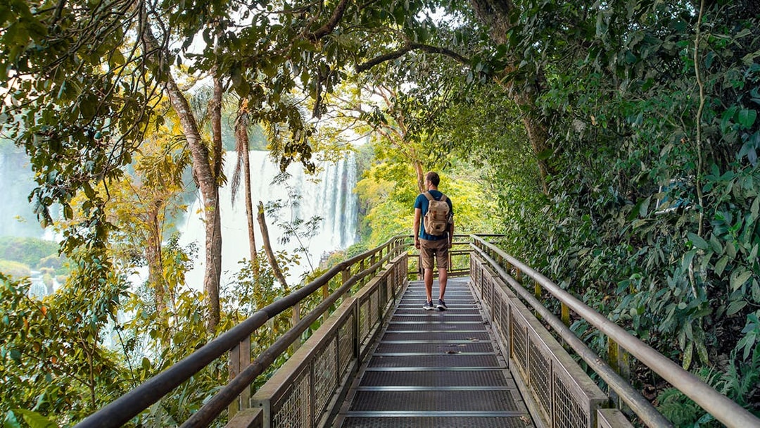 Traveler with backpack on walkway through lush forest at Iguazu Falls.