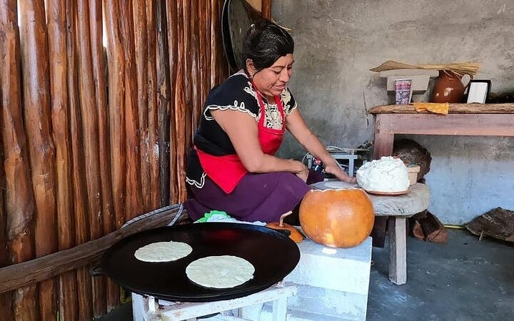 Puerto Morelos: Beachside Tacos & Town Tour with Tequila Tasting Image 7