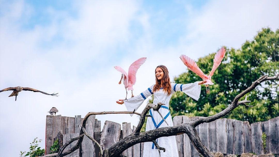 Woman in medieval costume with birds at Puy du Fou, France.