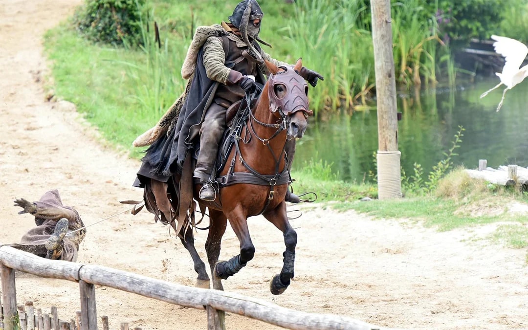 Puy du Fou 2 or 3-Day Tickets Image 12