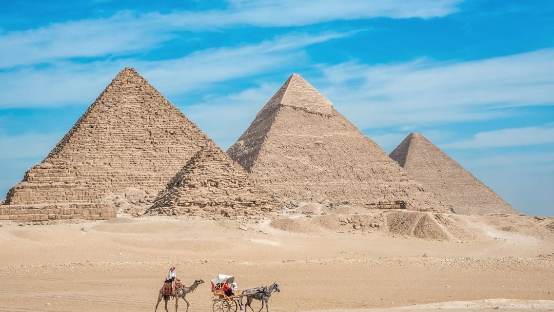 Camel and cart near the Pyramids of Giza on a private tour.