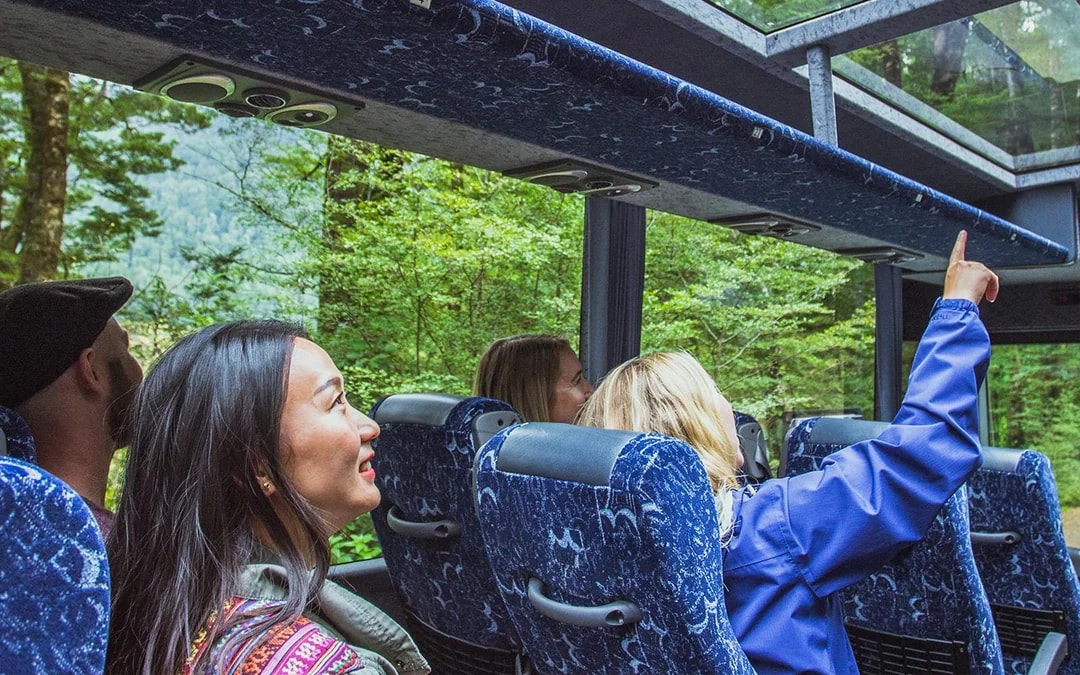 From Queenstown: Milford Sound Day Trip with Cruise, & Return Transfers Image 6