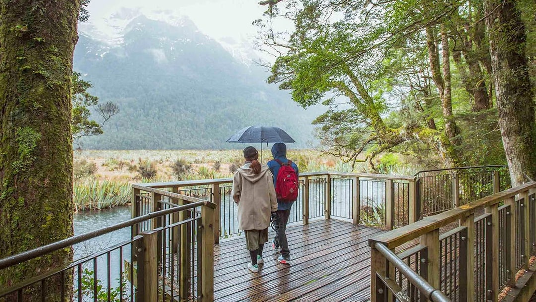 Couple walking on a boardwalk in Milford Sound, New Zealand, surrounded by lush forest.