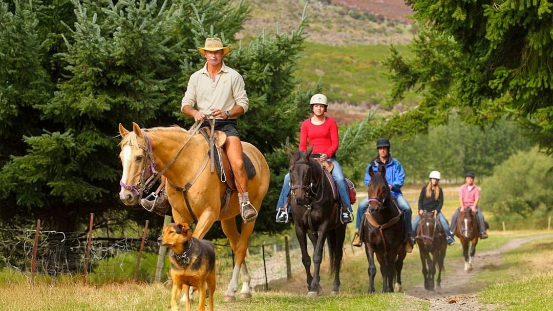 From Queenstown: TSS Earnslaw Cruise with Walter Peak Horse Trekking
