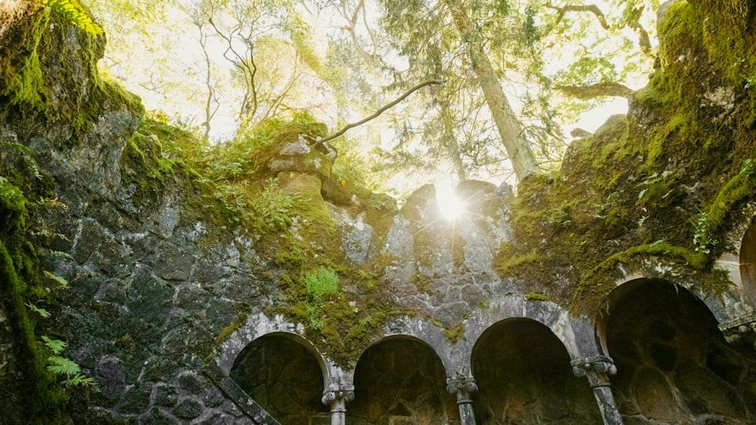 Quinta da Regaleira well with sunlight filtering through moss-covered arches.