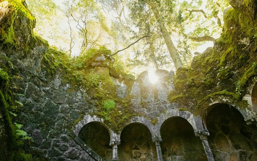 Quinta da Regaleira Tickets Image 7