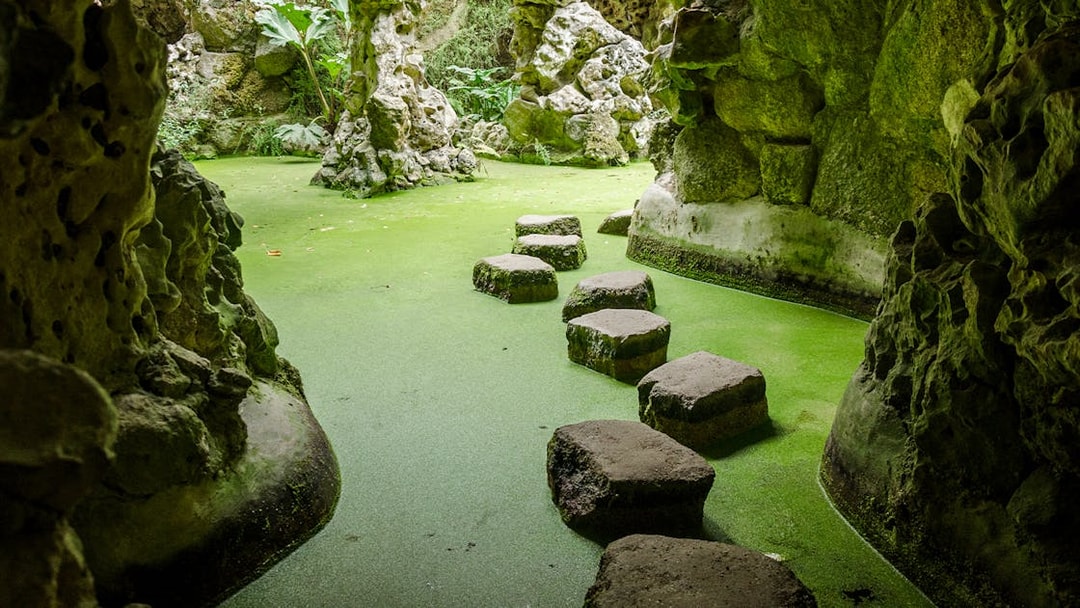 Stepping stones in a moss-covered grotto at Quinta da Regaleira, Sintra, Portugal.