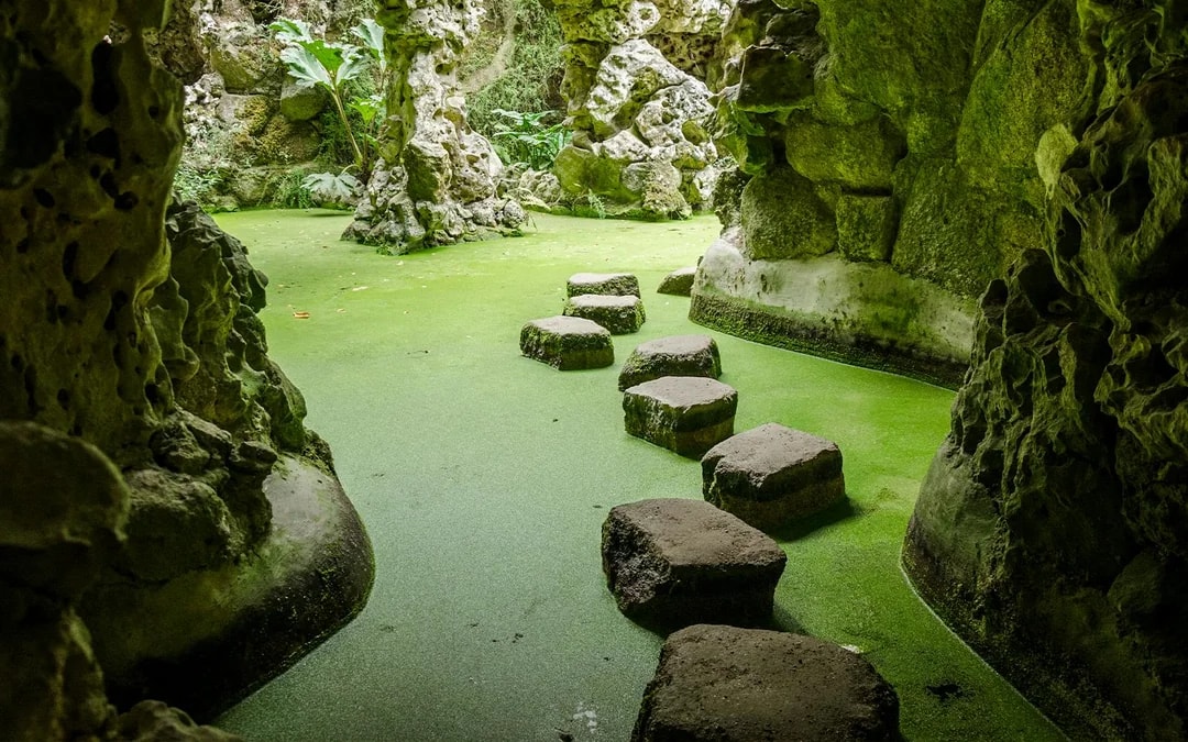 Quinta da Regaleira Tickets with Audio Guide Image 6