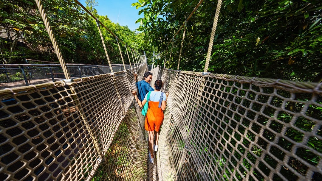 People walking on a rope bridge in the Rainforest Wild ASIA, surrounded by lush greenery.