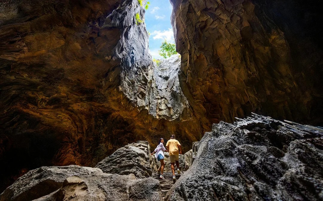 Rainforest Wild Adventure Entry Tickets with 5+ Adventure Activities Image 6