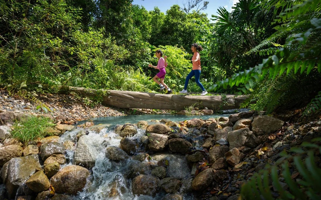 Rainforest Wild Adventure Entry Tickets with 5+ Adventure Activities Image 7