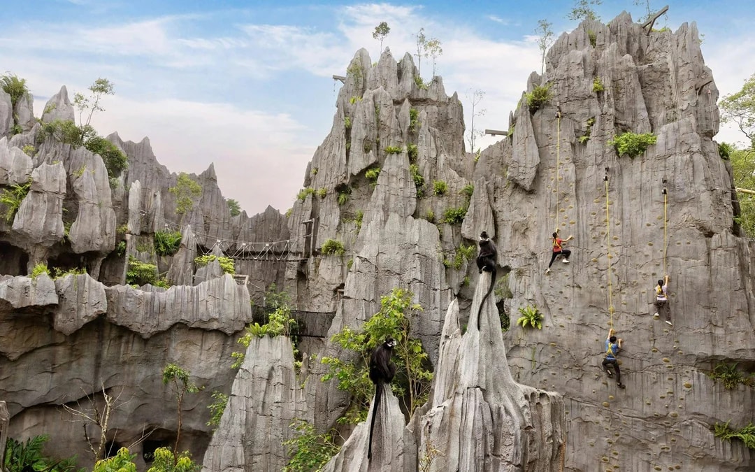 Rainforest Wild Adventure Entry Tickets with 5+ Adventure Activities Image 9