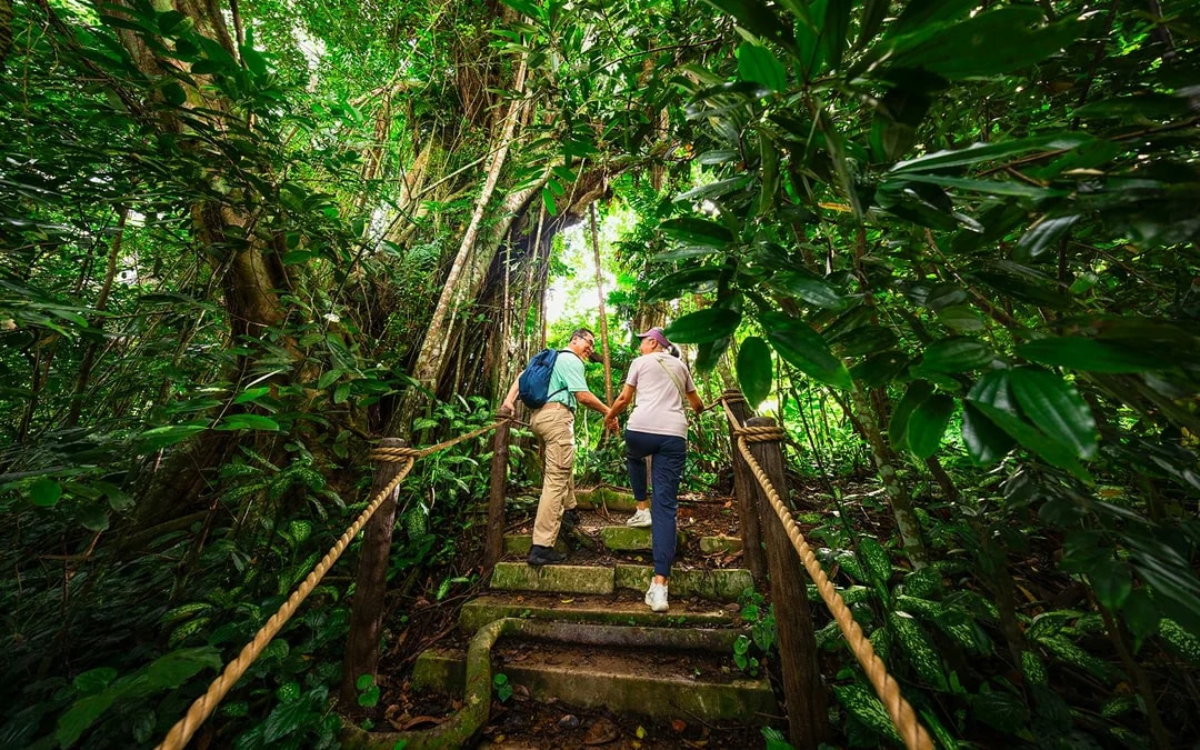 Rainforest Wild Adventure Entry Tickets with 5+ Adventure Activities Image 11