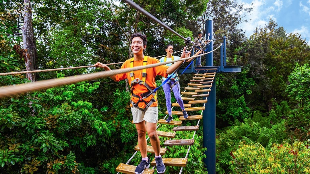 People crossing a rope bridge at Wild Apex Adventure, Langur Observation Deck, Rainforest Wild ASIA.