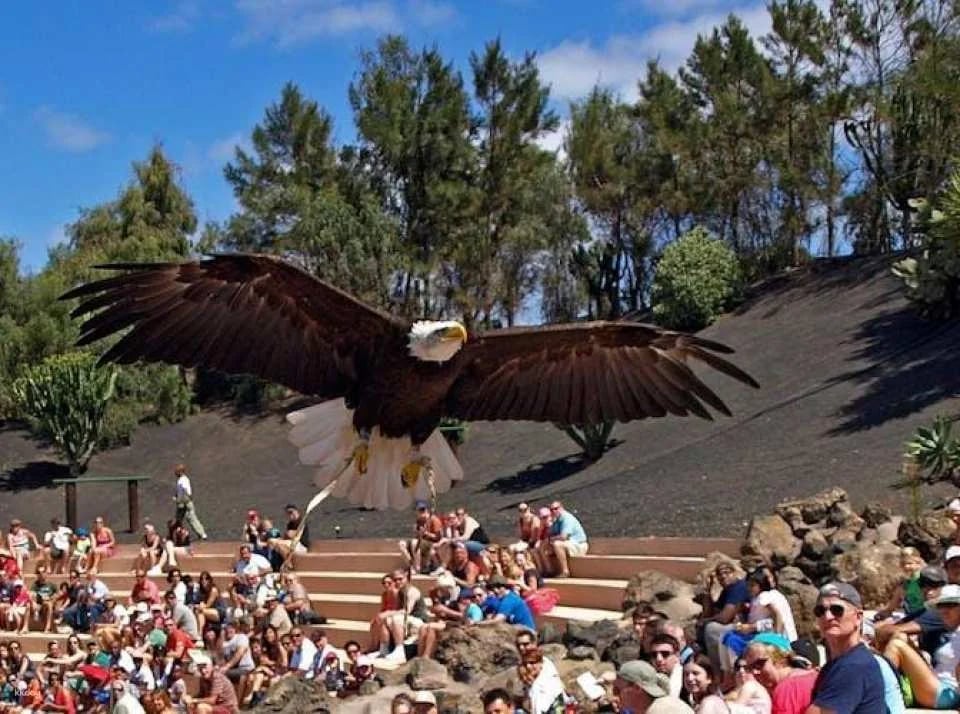 Rancho Texas Lanzarote Park with transfers