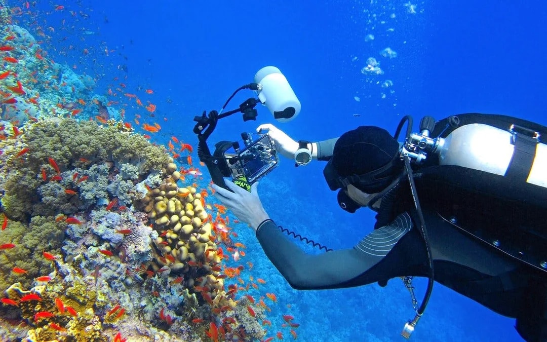 Red Sea Scuba Diving for Beginners with Round-Trip Transfers Image 11