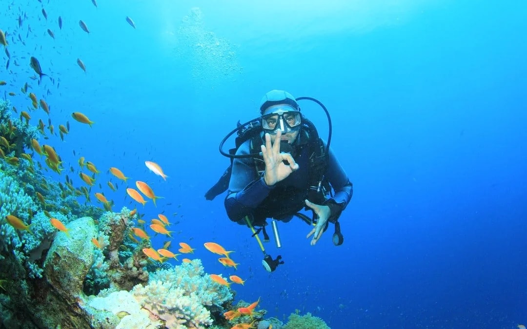 Red Sea Scuba Diving for Beginners with Round-Trip Transfers Image 6