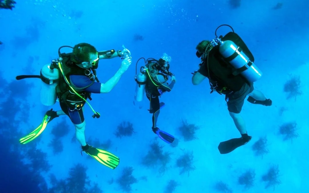 Red Sea Scuba Diving for Beginners with Round-Trip Transfers Image 7