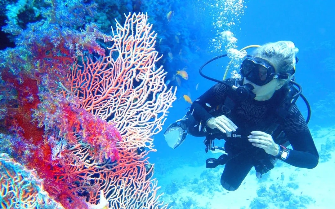 Red Sea Scuba Diving for Beginners with Round-Trip Transfers Image 9