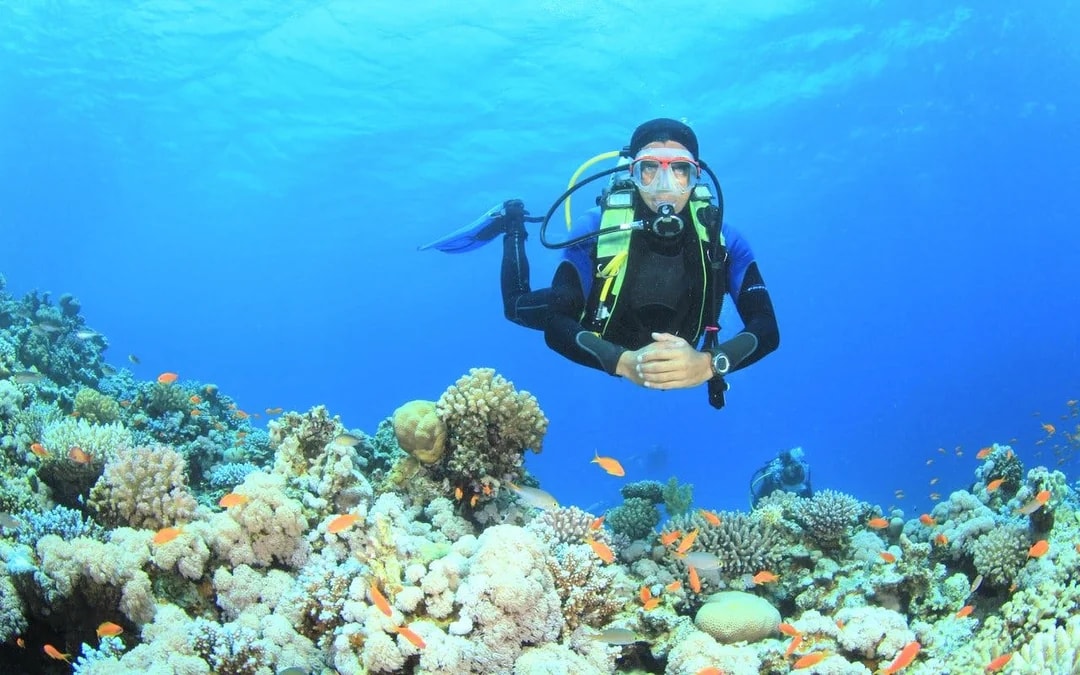 Red Sea Scuba Diving for Beginners with Round-Trip Transfers Image 10