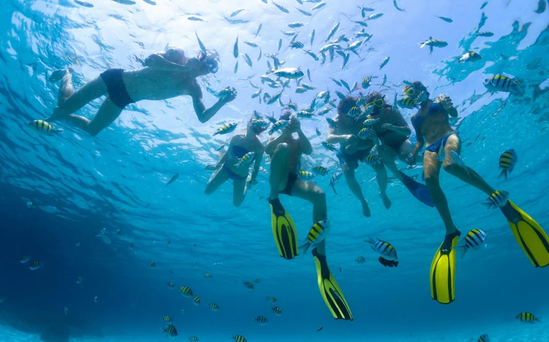 Red Sea Scuba Diving for Certified Divers Image 11