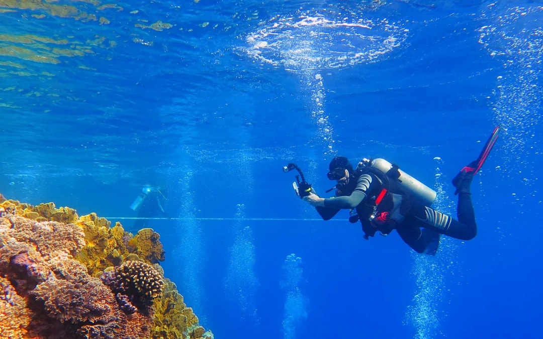 Red Sea Scuba Diving for Certified Divers Image 7
