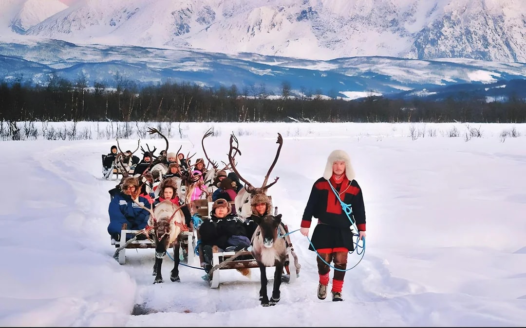 Reindeer Sledding & Sami Culture Guided Tour with Hot Drinks & Meal Image 3