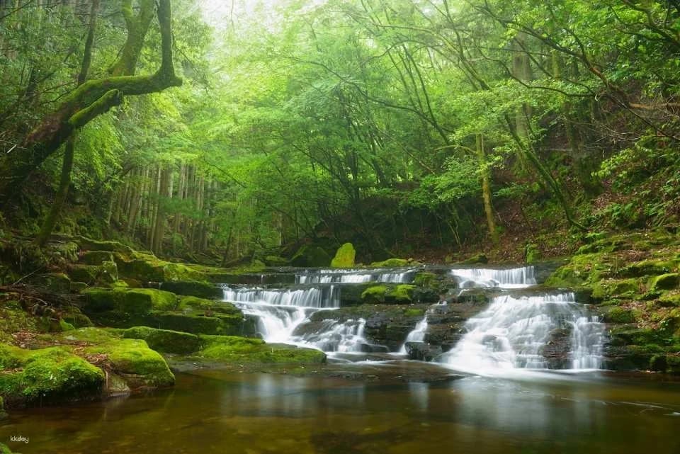 Reservations for climbing Akame 48 Waterfalls and entering Akame Waterfall Aquarium (Nabari City, Mie Prefecture)