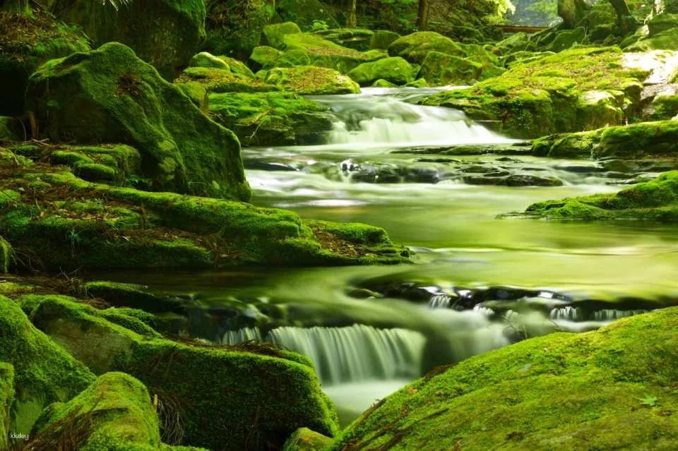 Reservations for climbing Akame 48 Waterfalls and entering Akame Waterfall Aquarium (Nabari City, Mie Prefecture)