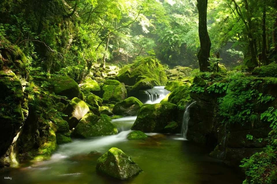 Reservations for climbing Akame 48 Waterfalls and entering Akame Waterfall Aquarium (Nabari City, Mie Prefecture)