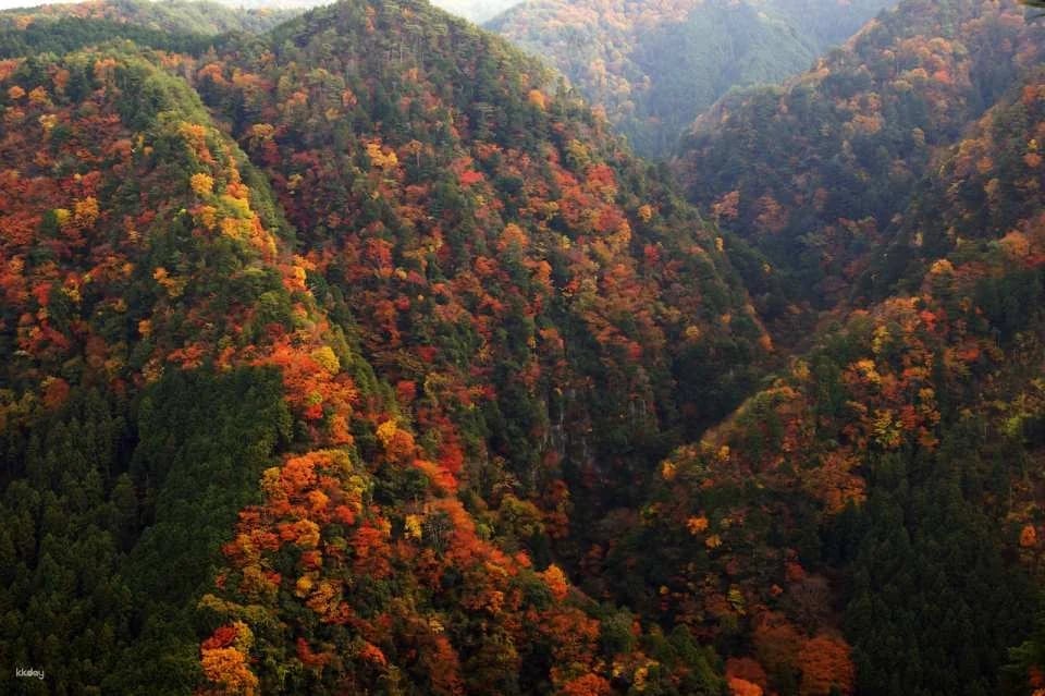 Reservations for climbing Akame 48 Waterfalls and entering Akame Waterfall Aquarium (Nabari City, Mie Prefecture)