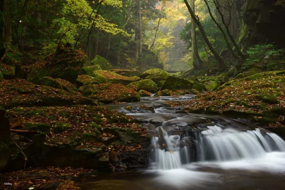 Reservations for climbing Akame 48 Waterfalls and entering Akame Waterfall Aquarium (Nabari City, Mie Prefecture)
