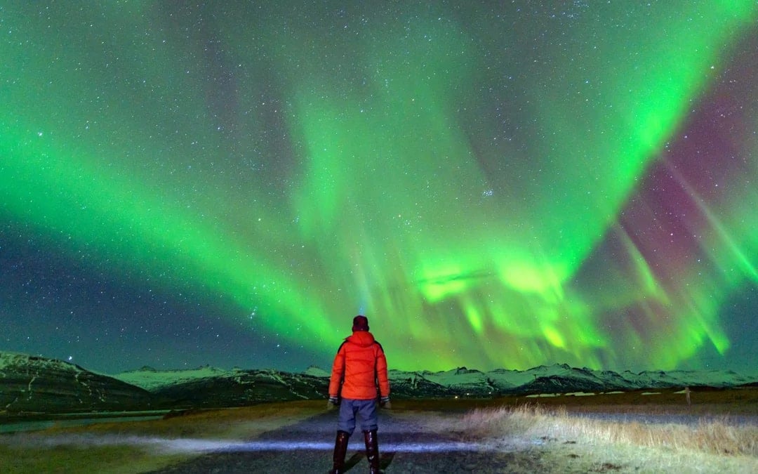 Reykjavik Combo: Northern Lights, Golden Circle & Blue Lagoon Tour Image 1