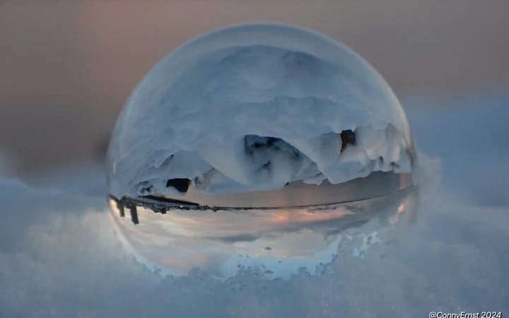 Reykjavik Guided Walking Tour of Landmarks and Hidden Gems with Icelandic Sweets Tasting Image 4