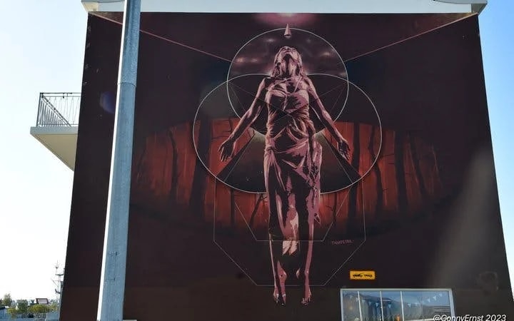 Reykjavik Street Art Guided Walking Tour Through Hidden Alleys and Neighborhoods Image 7