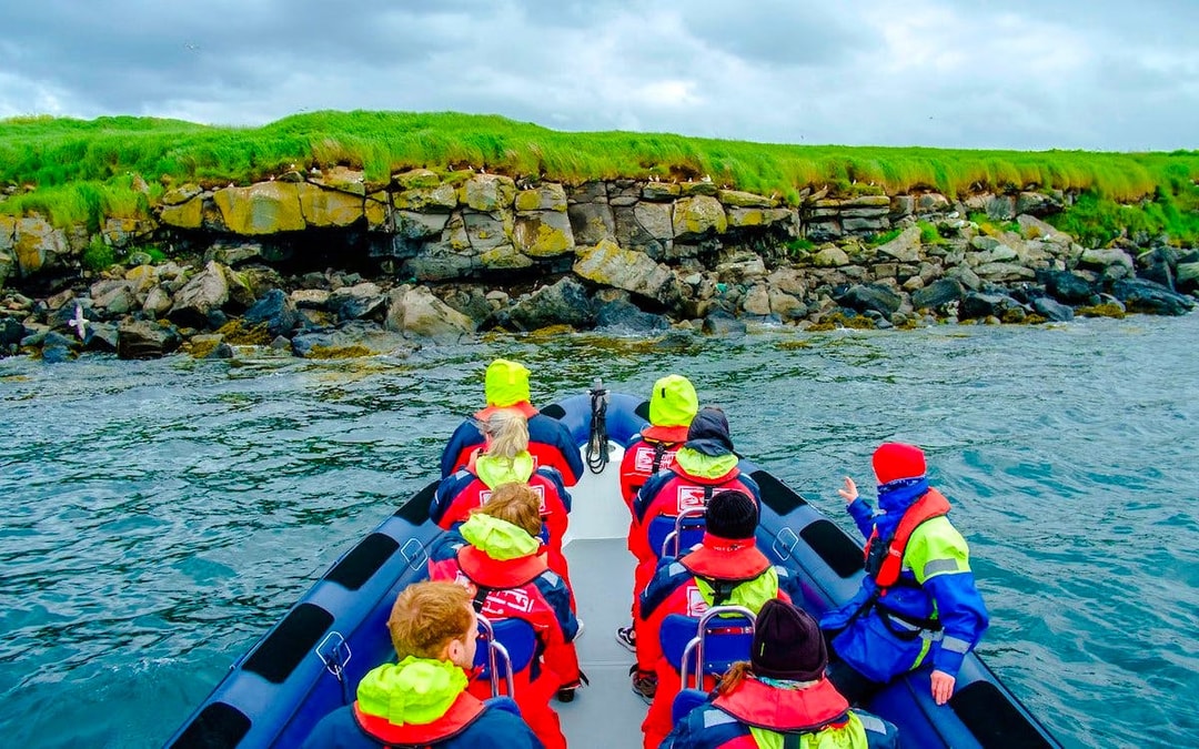Reykjavik: Whale Watching & Puffin Tour on RIB speedboat Image 6