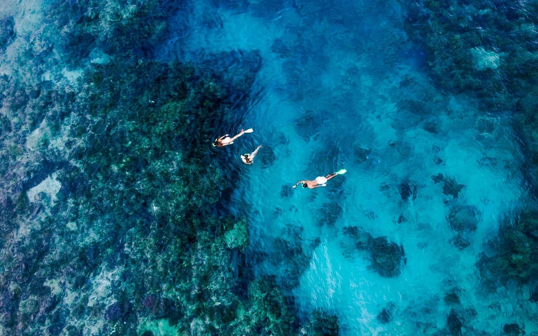 Ride and Slide: Half-Day Snorkelling Cruise with Hotel Transfers  Image 7
