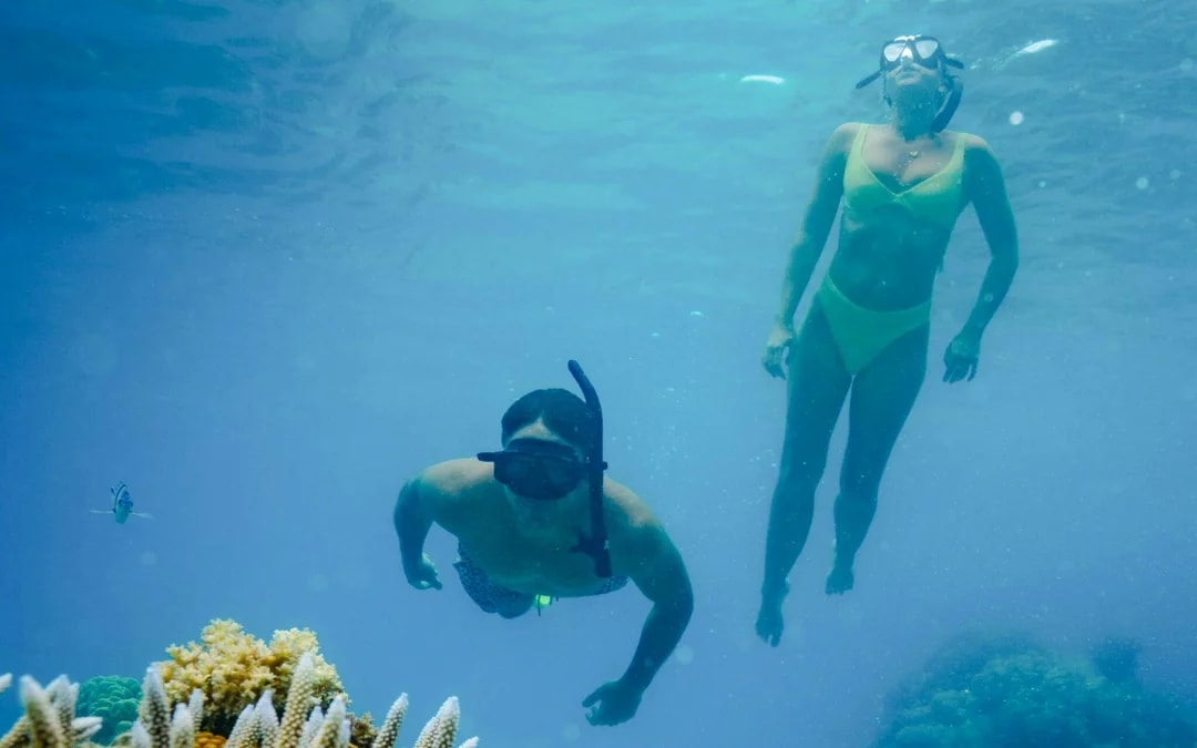 Ride and Slide: Half-Day Snorkelling Cruise with Hotel Transfers  Image 9