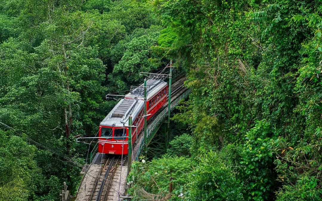 Full-Day Tour of Rio: Christ the Redeemer, Sugarloaf Mountain, Selarón Steps and More Image 5