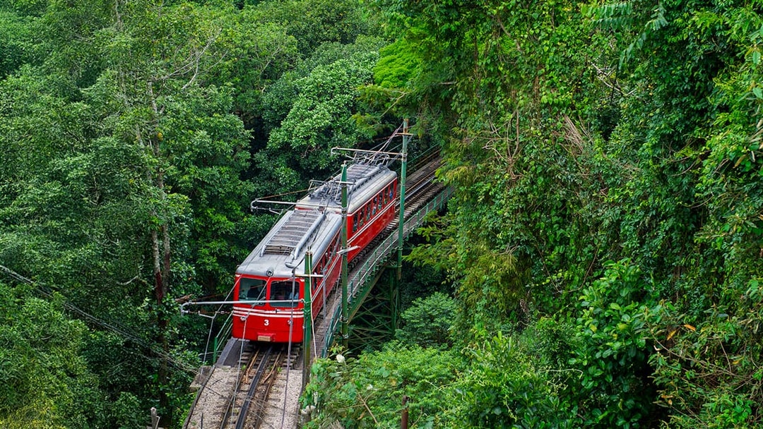 Red train traveling through lush Tijuca Forest in Rio de Janeiro.
