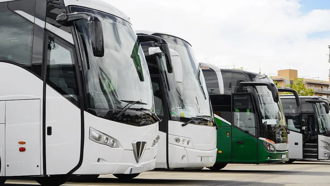 Parked buses at a terminal with buildings in the background.
