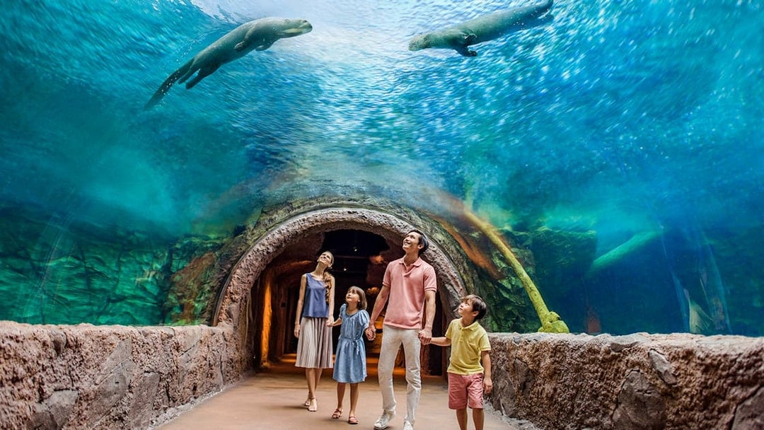River Wonders Tickets