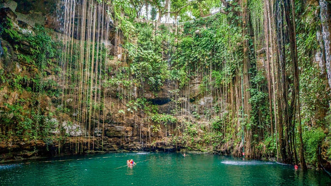 Swimmers in Cenote Chichen Itza surrounded by lush vegetation, Yucatan, Mexico.