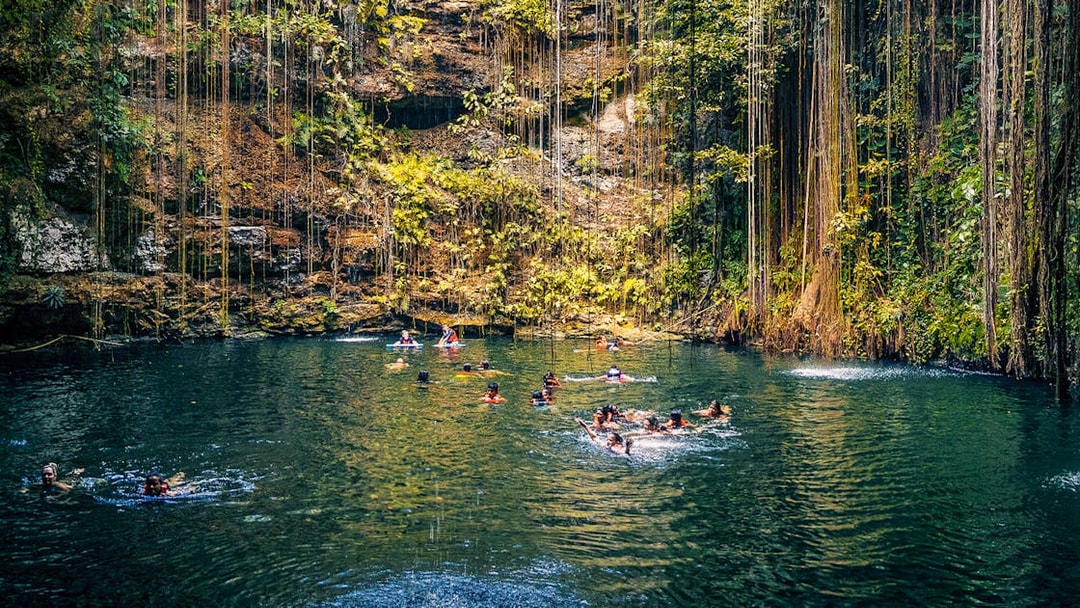 People swimming in a cenote surrounded by lush vegetation in Chichen Itza, Mexico.
