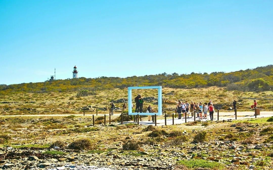 Robben Island & Table Mountain Full-Day Tour with Cable Car and Transfers Image 1