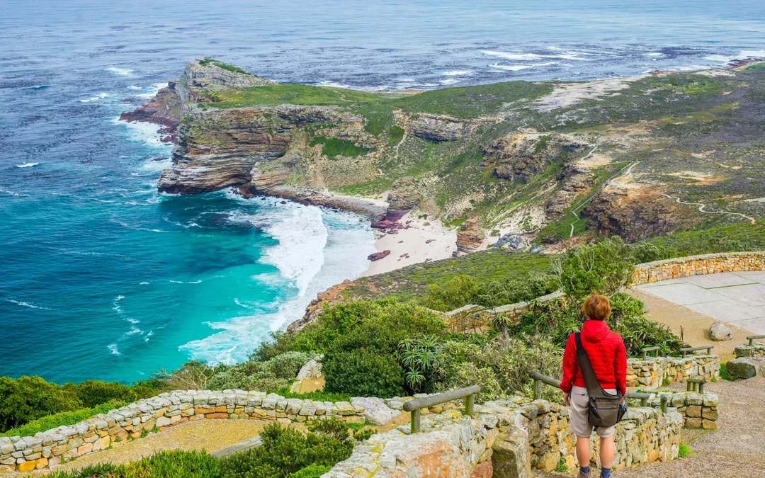 Robben Island, Boulders Beach Penguin Colony & Cape of Good Hope Full-Day Private Tour Image 2