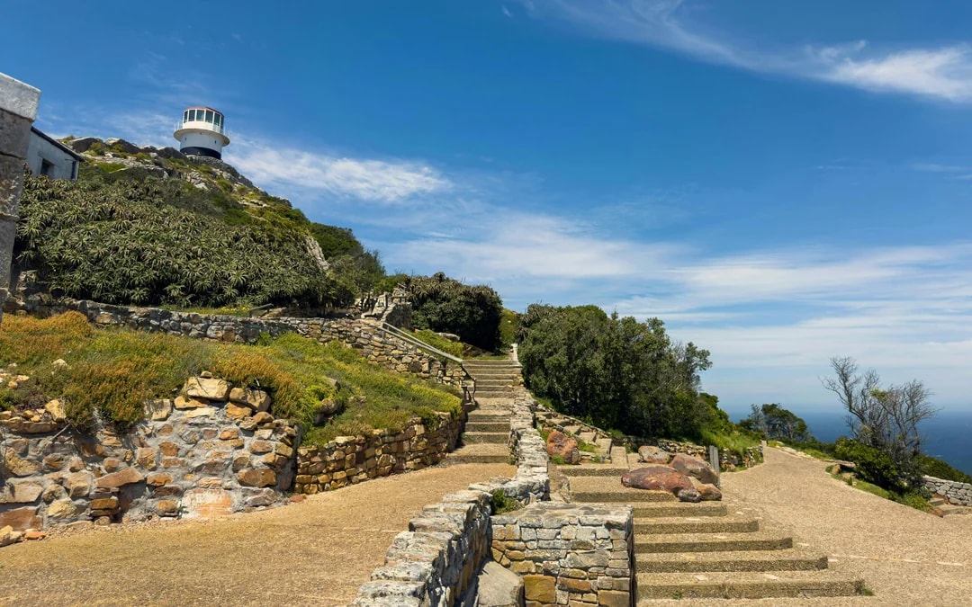 Robben Island, Boulders Beach Penguin Colony & Cape of Good Hope Full-Day Private Tour Image 8