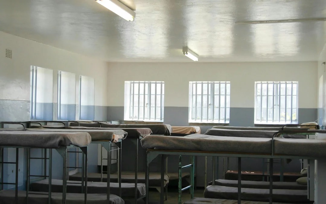 Robben Island Full-Day Guided Private Tour with Museum Entry & Long March to Freedom Exhibition Image 6