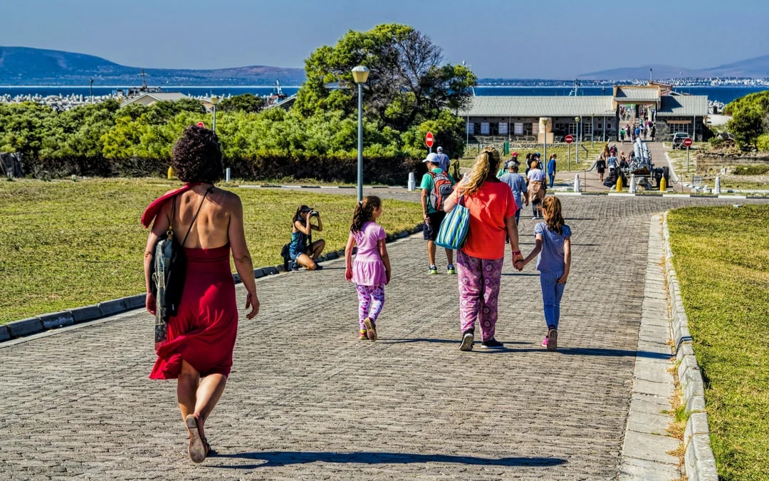 Robben Island Full-Day Guided Private Tour with Museum Entry & Long March to Freedom Exhibition Image 9