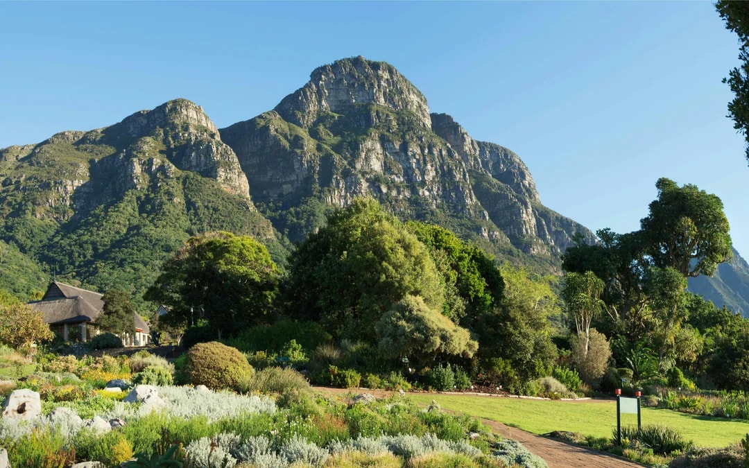 Robben Island, Kirstenbosch National Botanical Garden & Constantia Full-Day Tour with Wine Tasting Image 9
